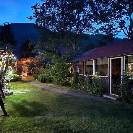Casa De Vacanta Vidrighin Rau Sadului Exteriér fotografie
