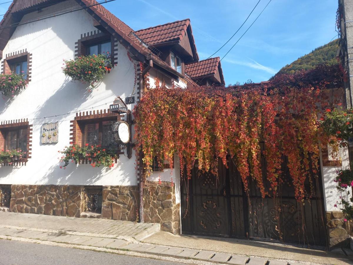 Casa De Vacanta Vidrighin Rau Sadului Exteriér fotografie