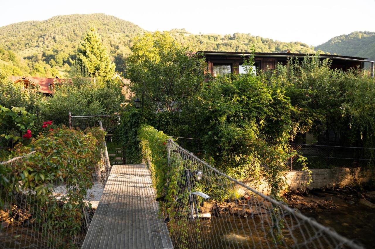 Casa De Vacanta Vidrighin Rau Sadului Exteriér fotografie