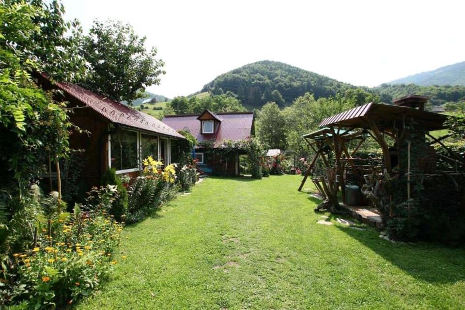 Casa De Vacanta Vidrighin Rau Sadului Exteriér fotografie