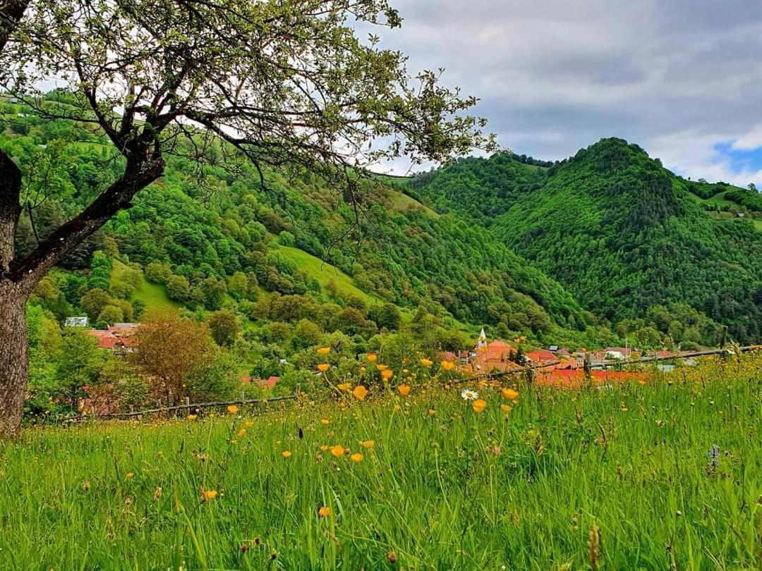 Casa De Vacanta Vidrighin Rau Sadului Exteriér fotografie