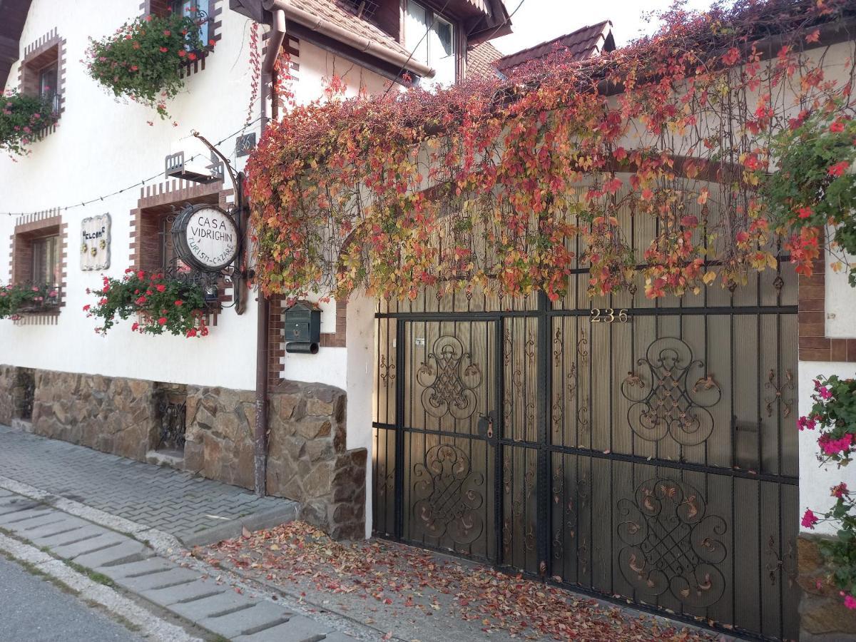 Casa De Vacanta Vidrighin Rau Sadului Exteriér fotografie
