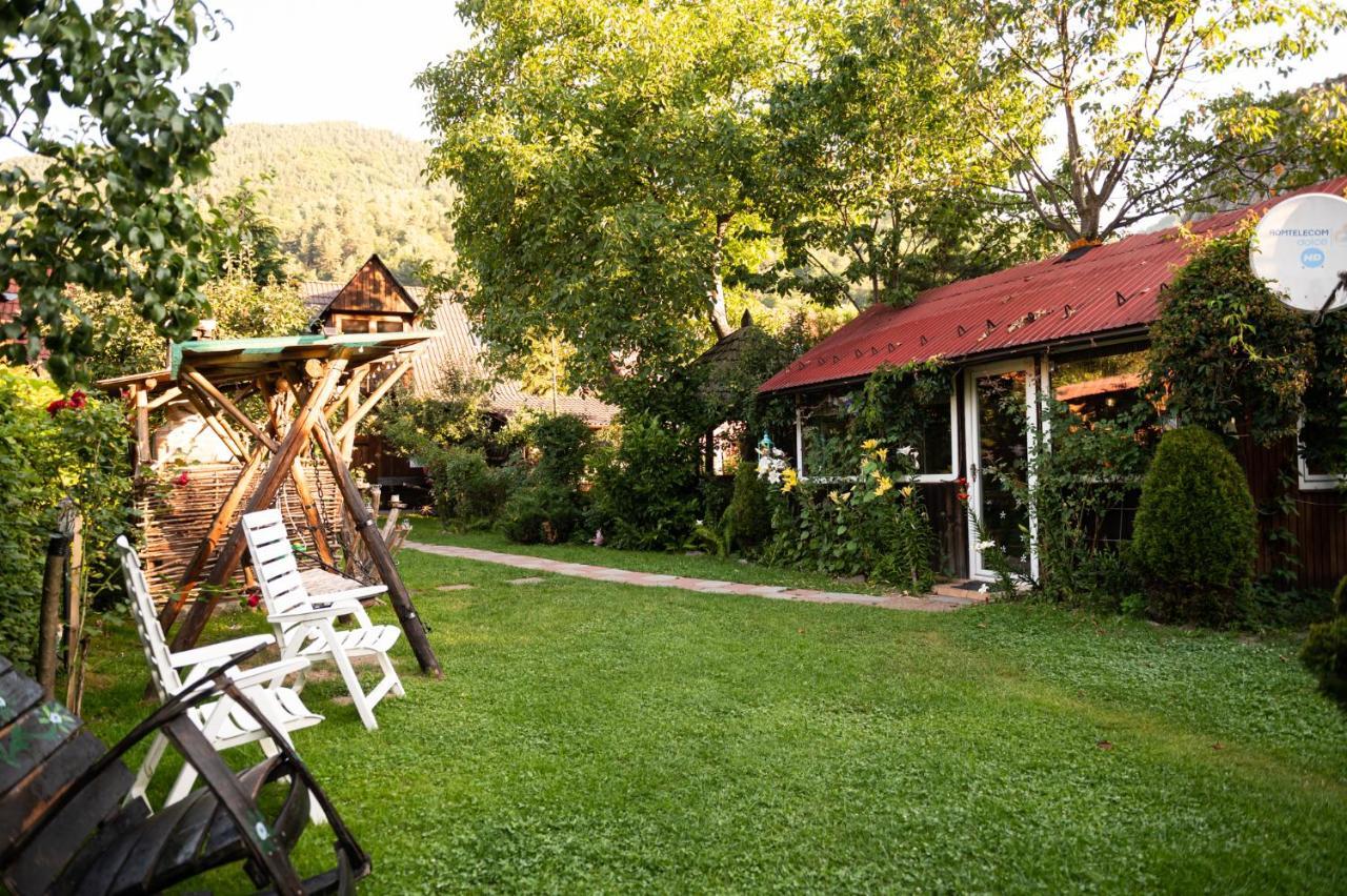 Casa De Vacanta Vidrighin Rau Sadului Exteriér fotografie