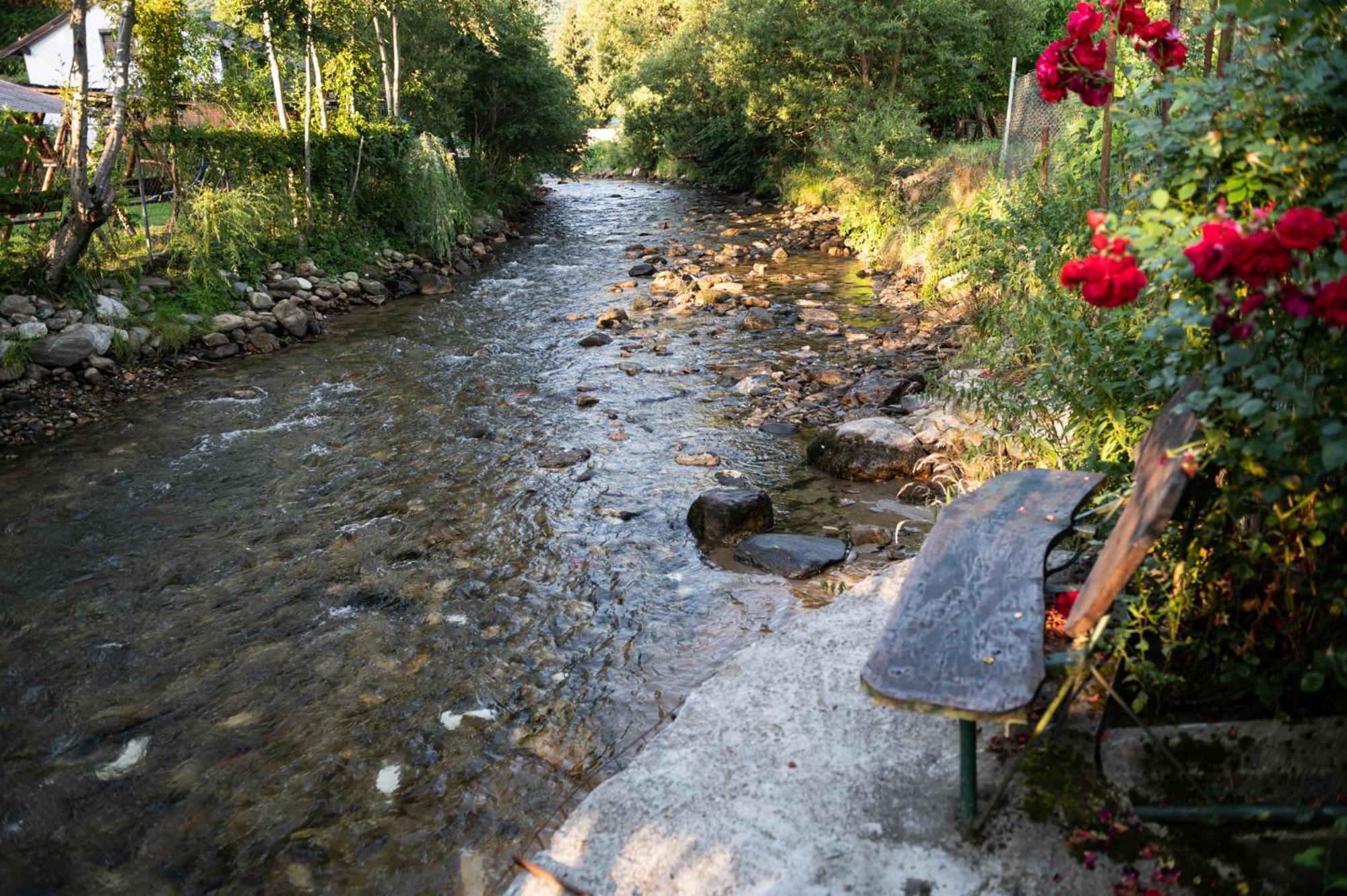 Casa De Vacanta Vidrighin Rau Sadului Pokoj fotografie