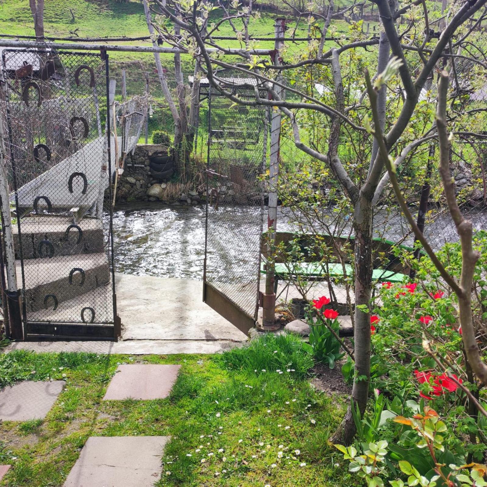 Casa De Vacanta Vidrighin Rau Sadului Pokoj fotografie