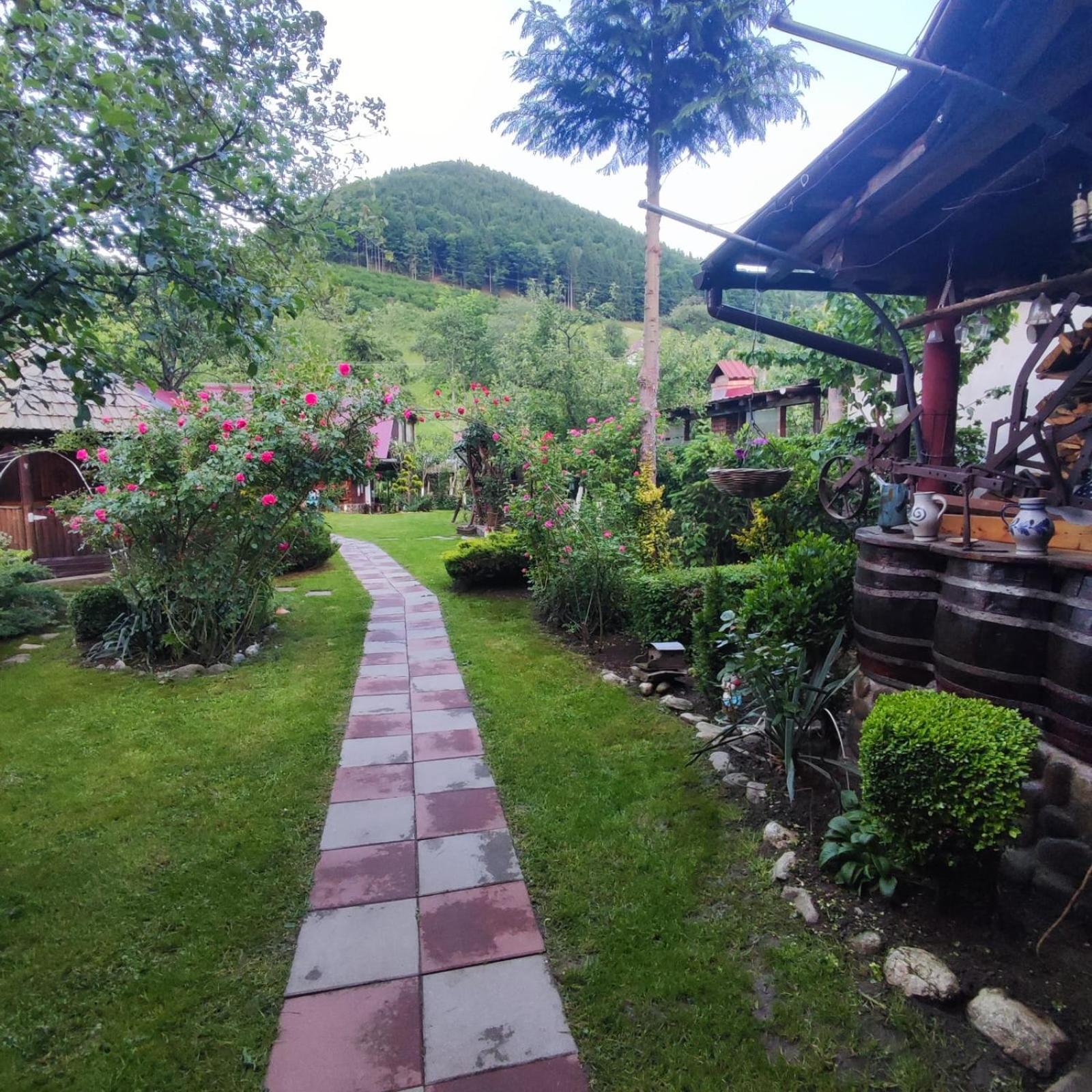 Casa De Vacanta Vidrighin Rau Sadului Pokoj fotografie