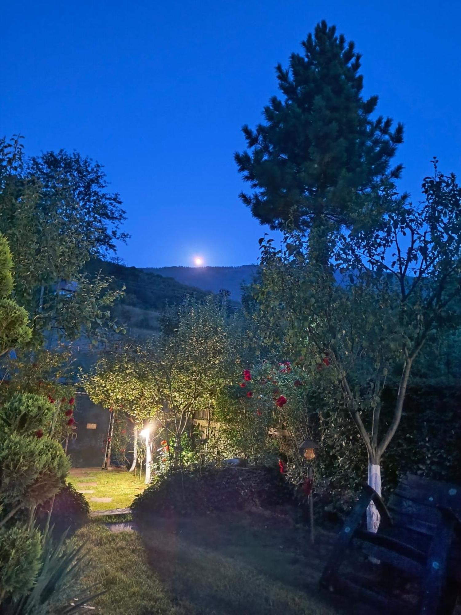 Casa De Vacanta Vidrighin Rau Sadului Exteriér fotografie