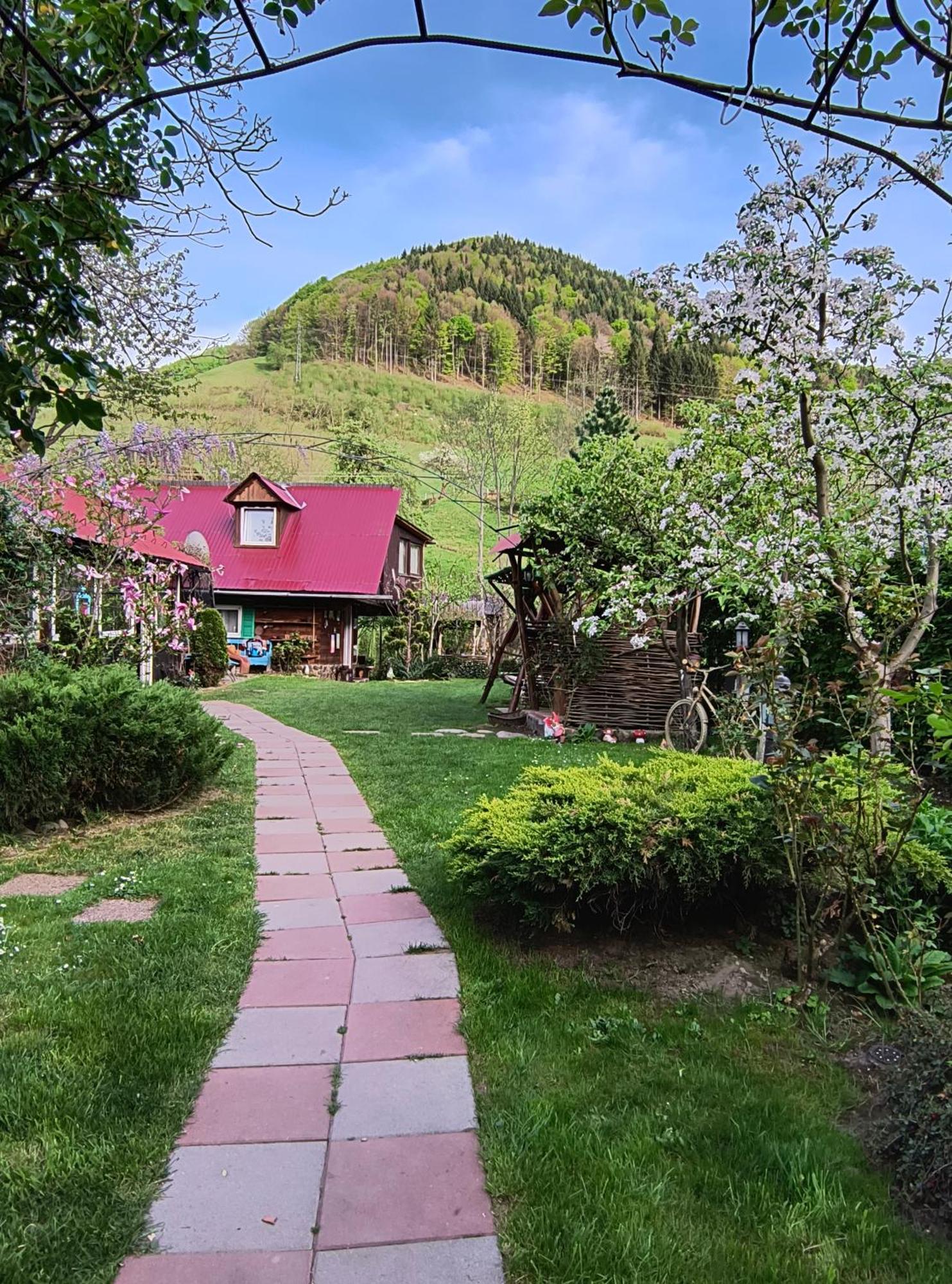 Casa De Vacanta Vidrighin Rau Sadului Exteriér fotografie
