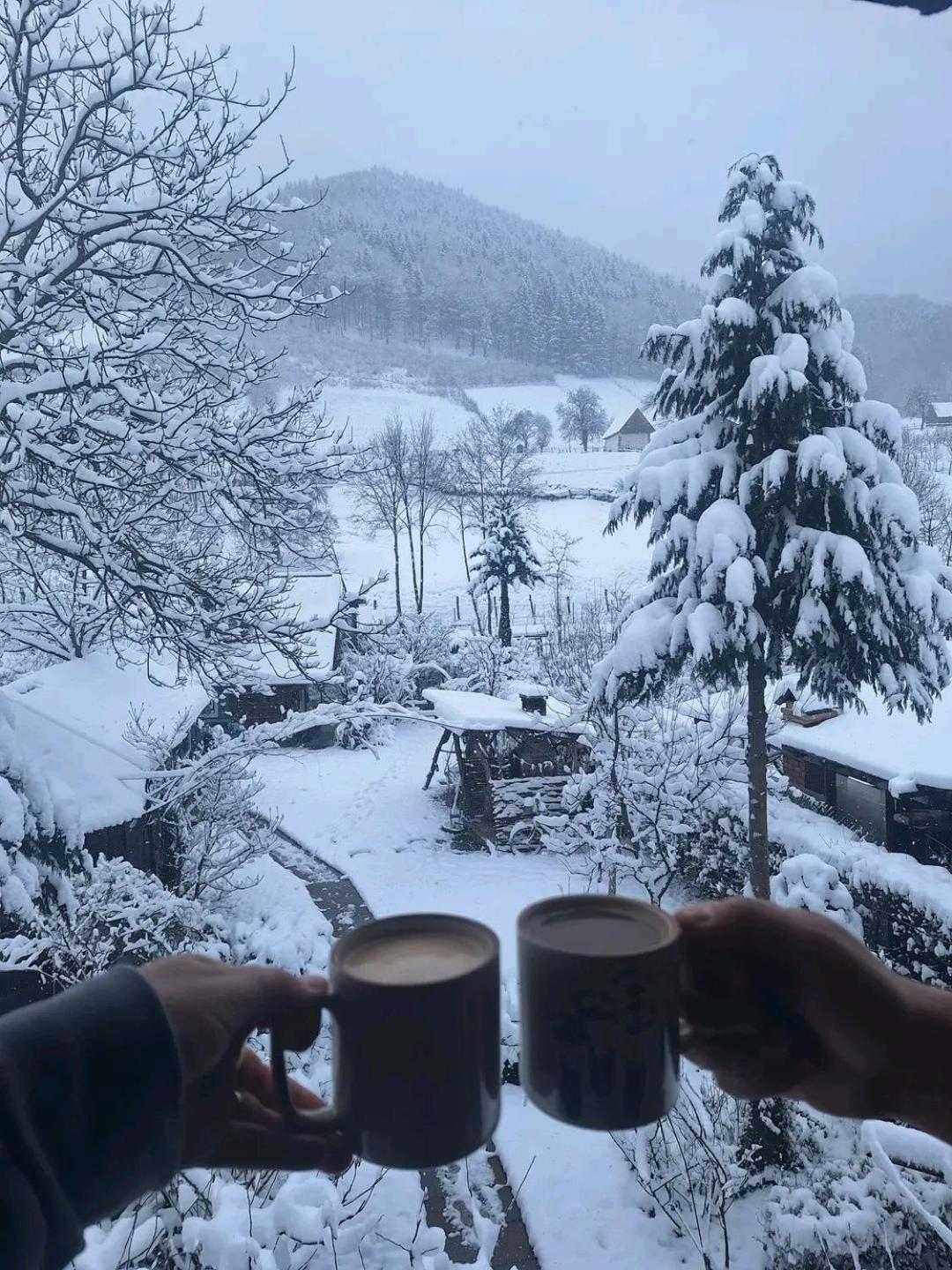 Casa De Vacanta Vidrighin Rau Sadului Exteriér fotografie