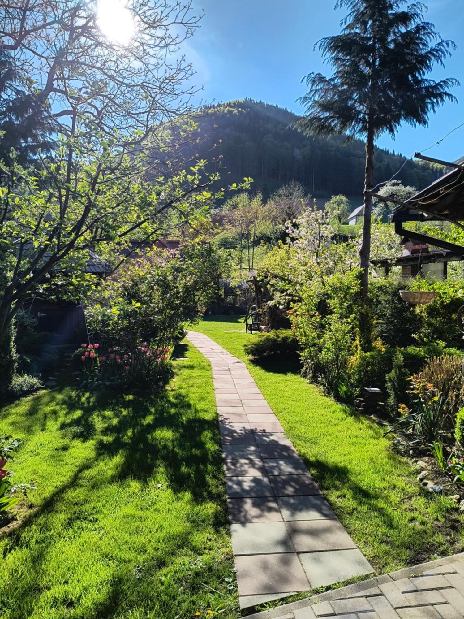 Casa De Vacanta Vidrighin Rau Sadului Exteriér fotografie