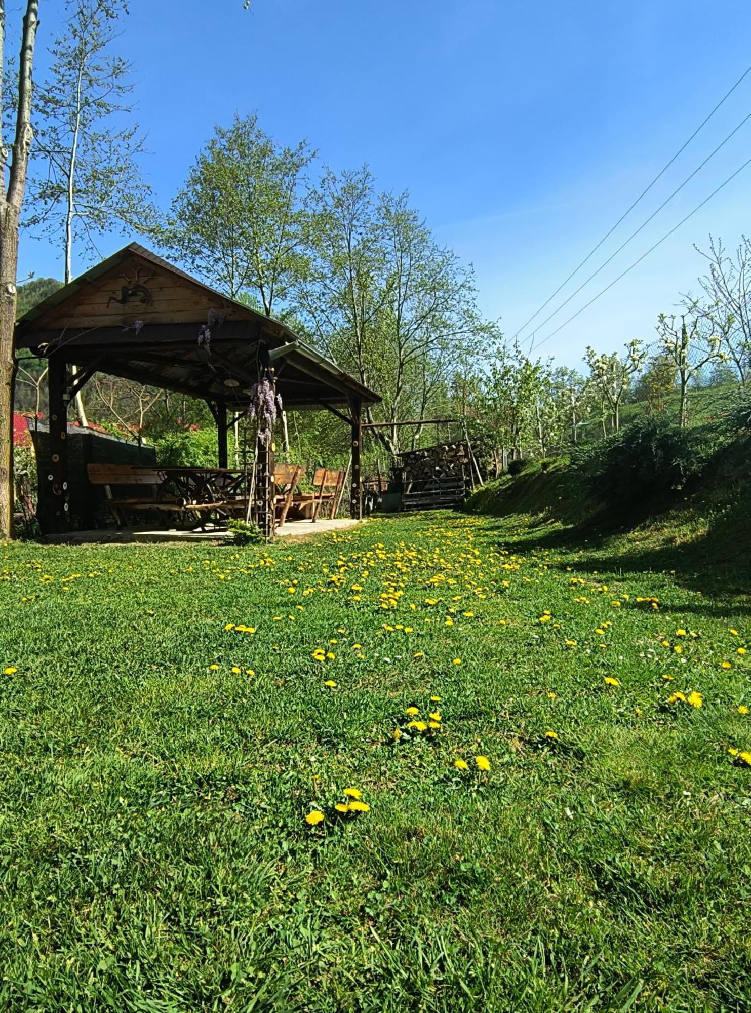 Casa De Vacanta Vidrighin Rau Sadului Exteriér fotografie
